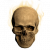 "Stench of the Dead" icon