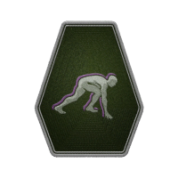 Icon for <span>Fitness - Rank 2</span>