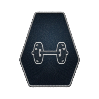 Icon for <span>Weight Lifting - Rank 1</span>