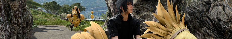 Section header image