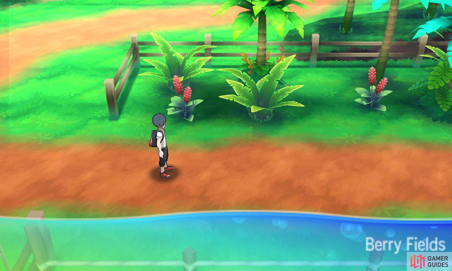 Optional - Berry Fields - Melemele Island - Walkthrough | Pokémon ...