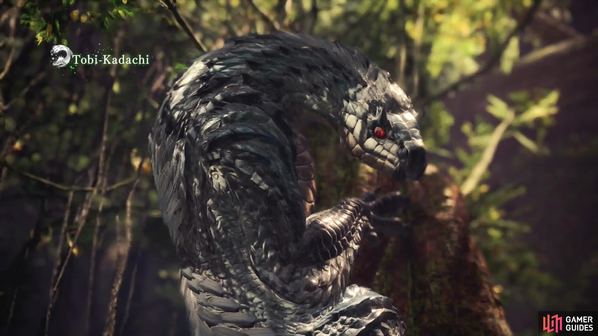 monster hunter tobi kadachi figure