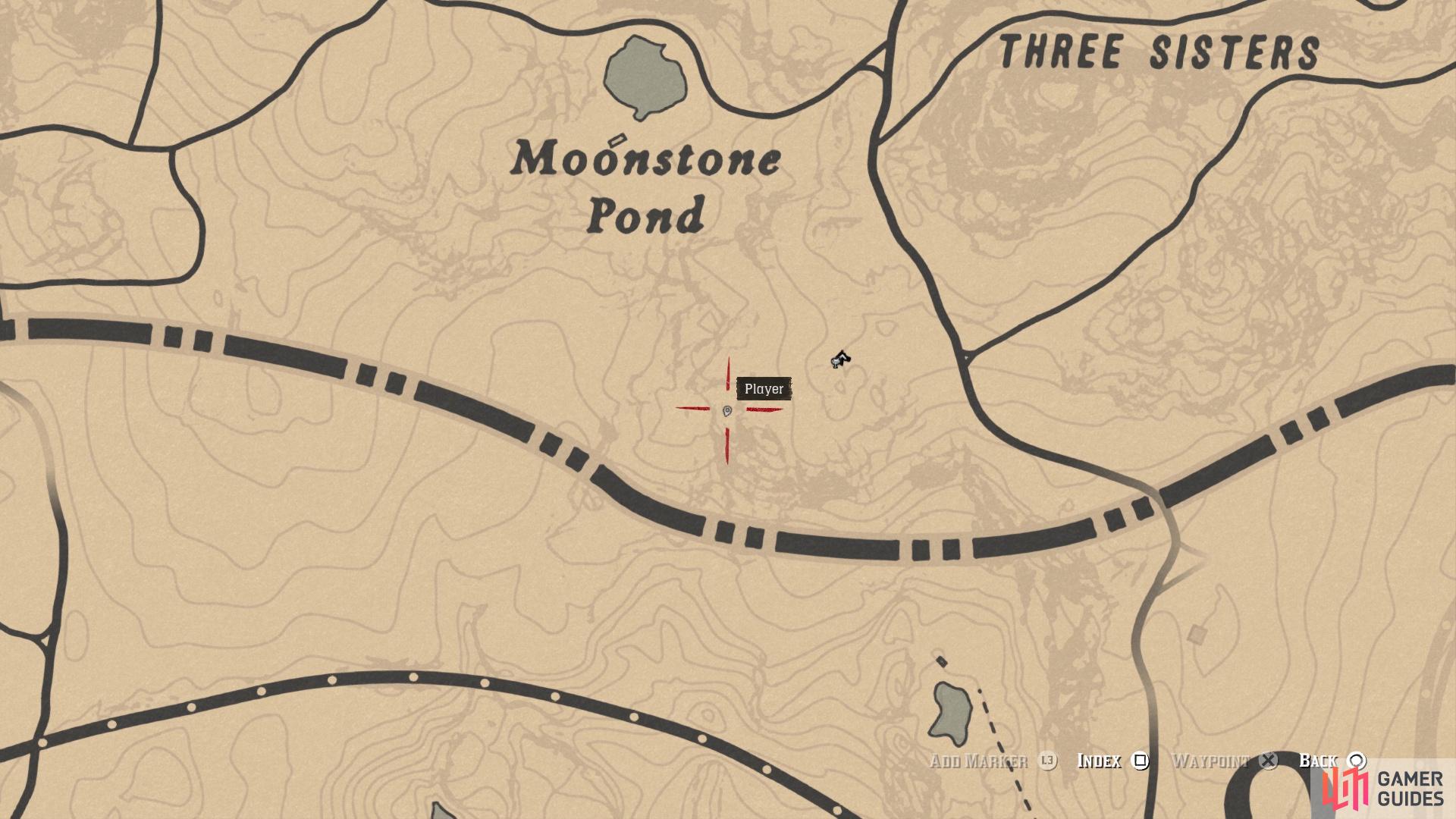 Red dead redemption 2 карта сокровищ чика