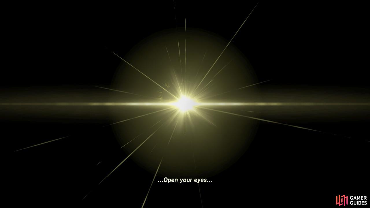Section header image