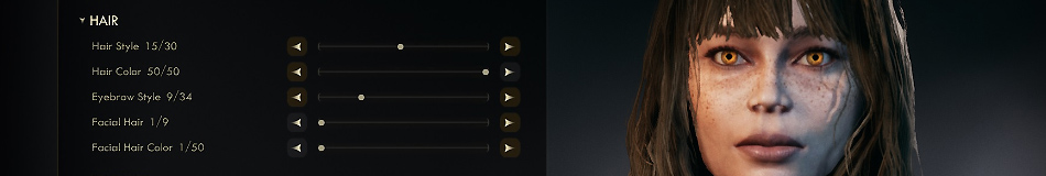 Section header image
