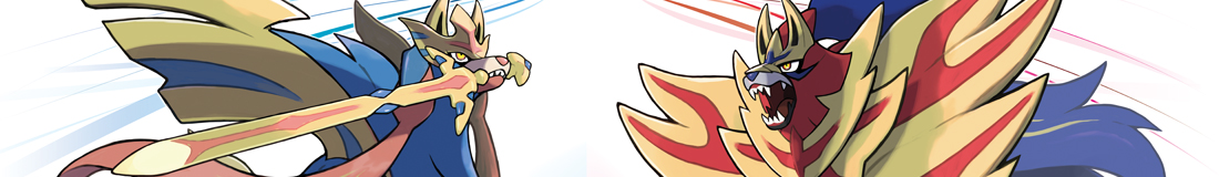 Section header image
