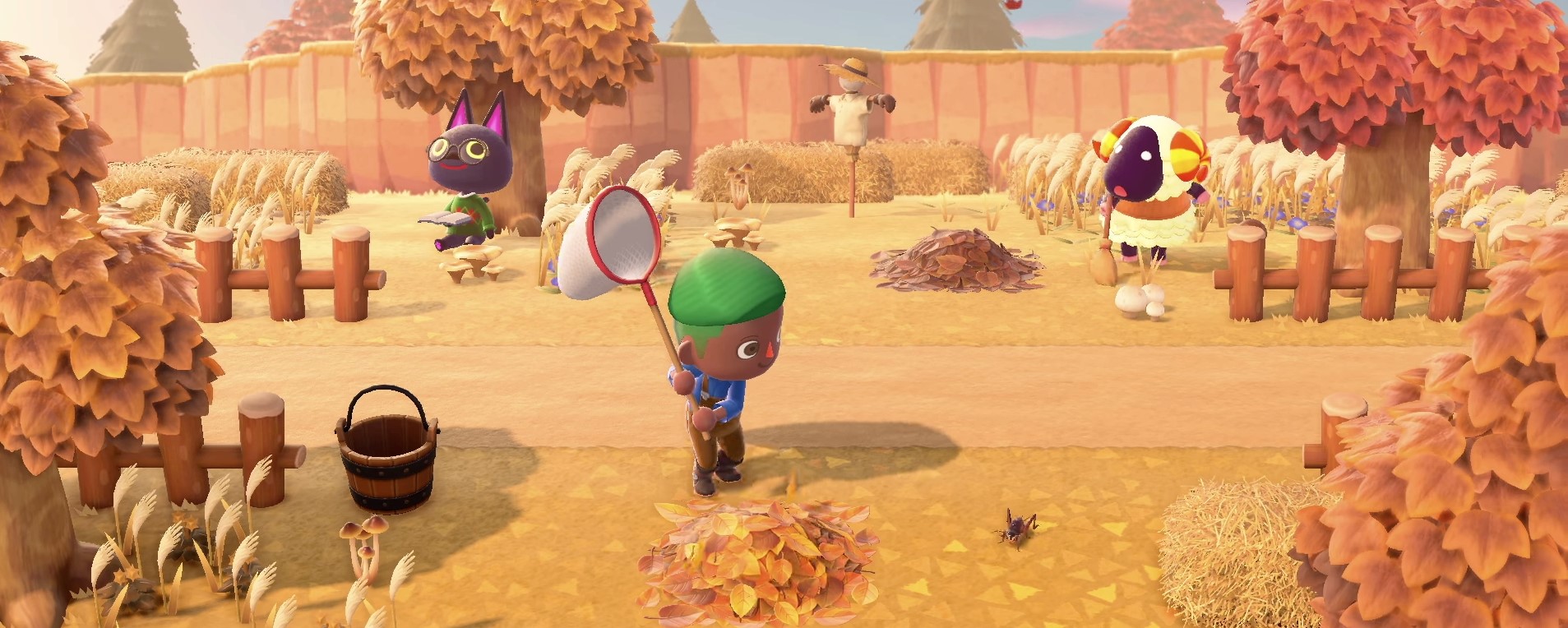 Section header image