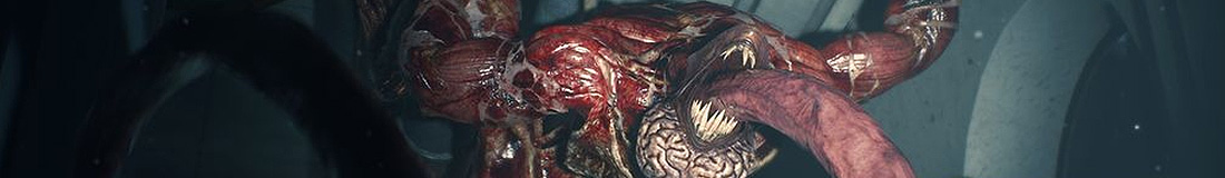 Section header image