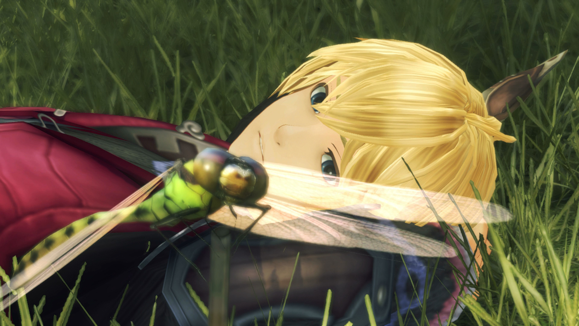 Section header image