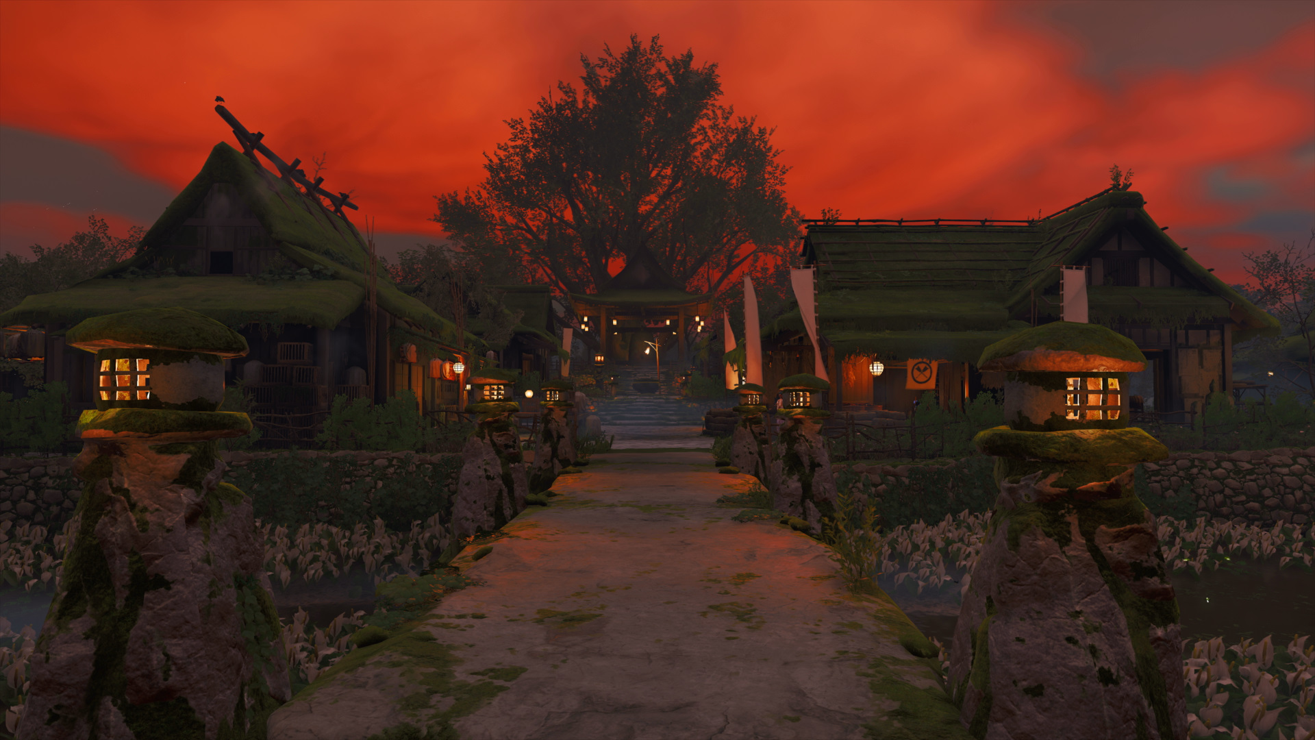 Section header image