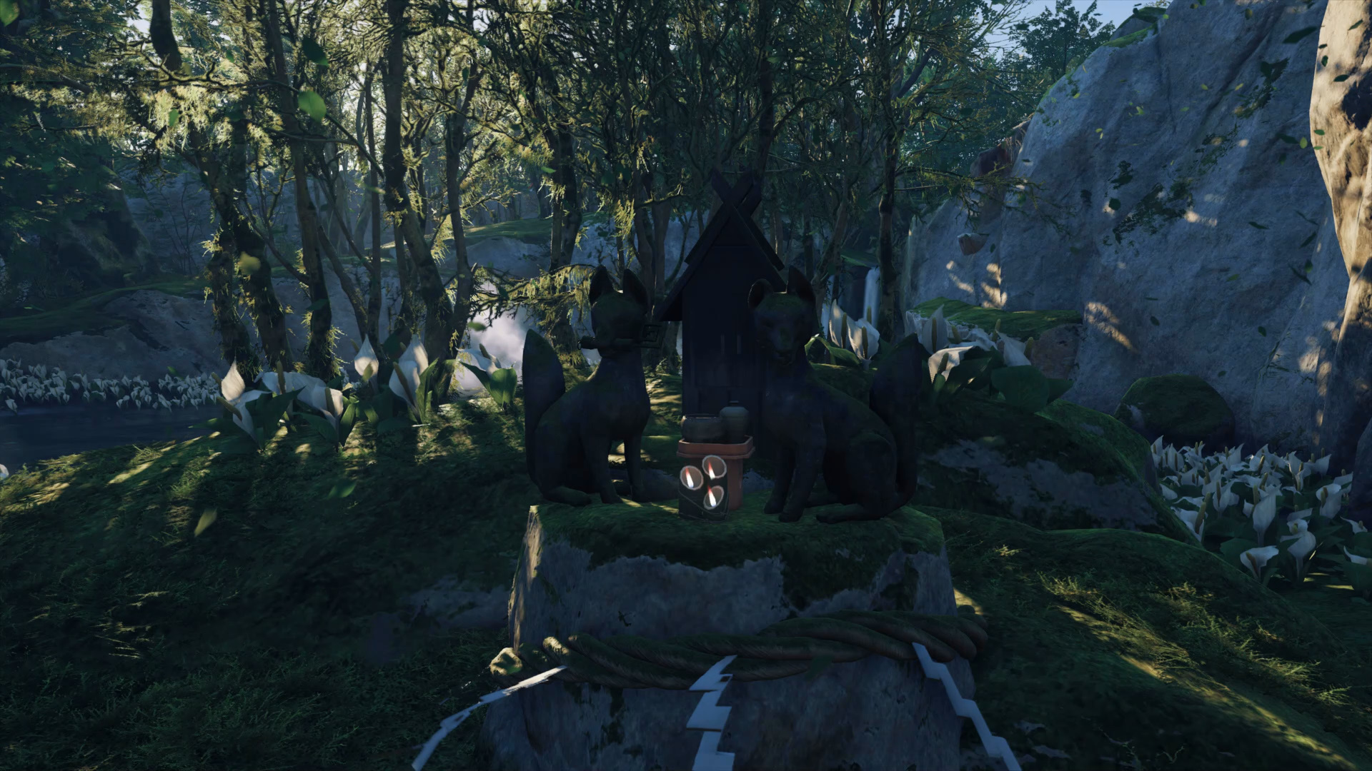 Section header image