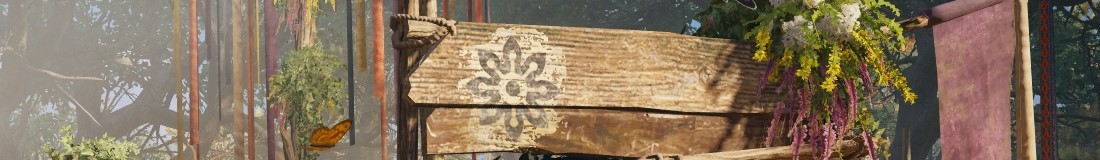 Section header image