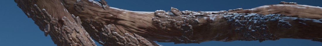 Section header image