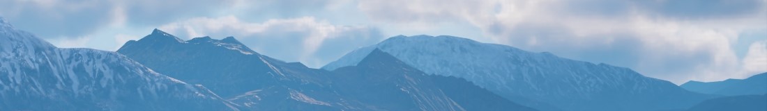 Section header image