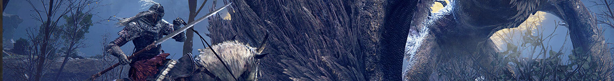 Section header image
