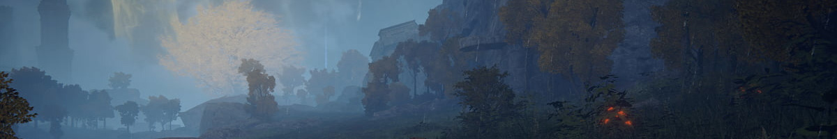 Section header image