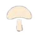 MushroomIconIngredientsTalesofArise.png