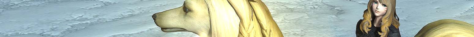 Section header image