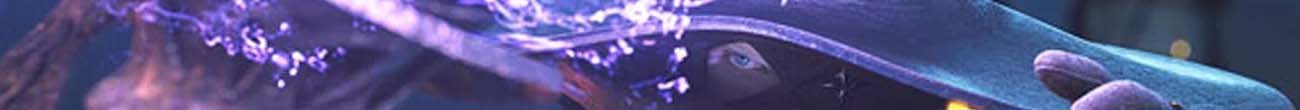 Section header image
