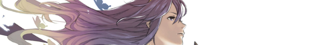 Section header image