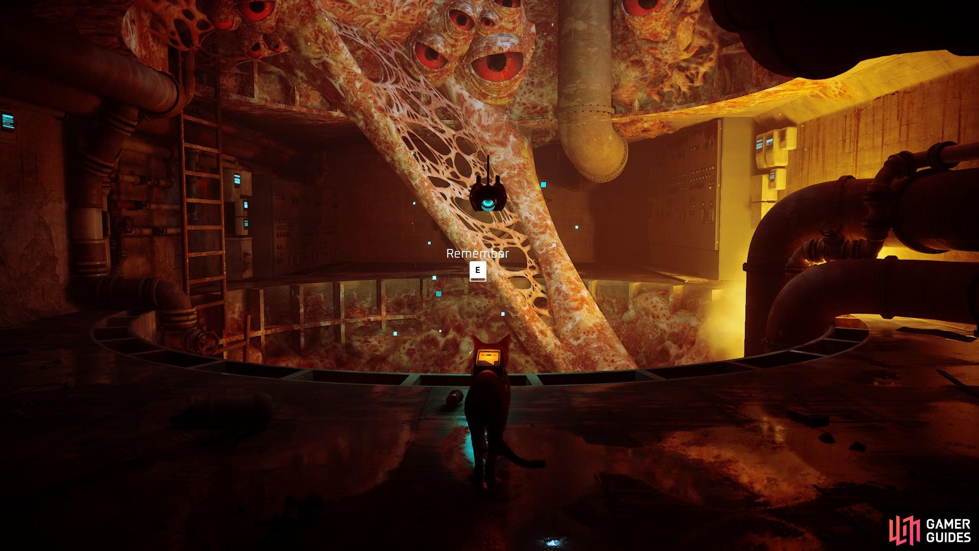 Stray Game Sewers Level77049800