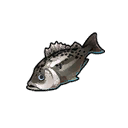 Item_Fishes_001.png