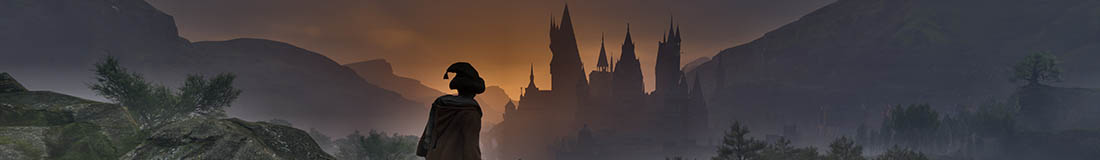 Section header image
