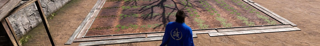 Section header image