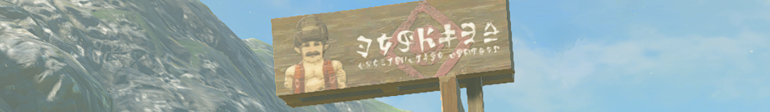 Section header image