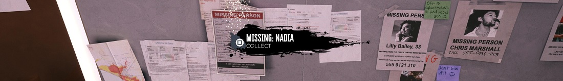 Section header image