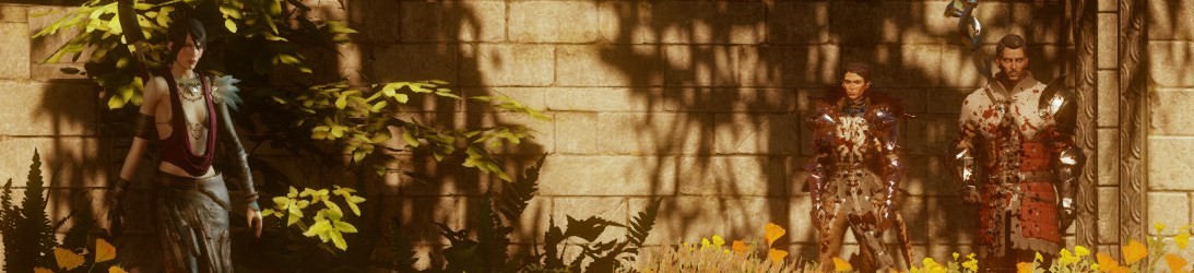 Section header image
