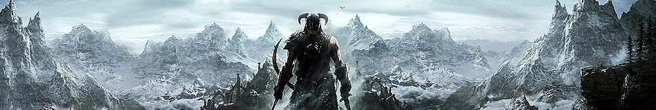 Section header image
