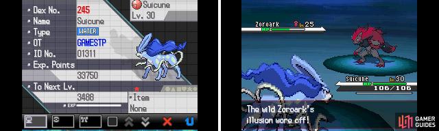 Being a master of illusion, Zoroark is hard to find but you can get one in Lostlorn Forest.
