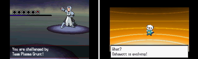 Team Plasma Grunt (left) and our first evolution (right) as Oshawott evolves into Dewott.
