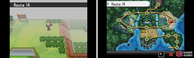 Route 14