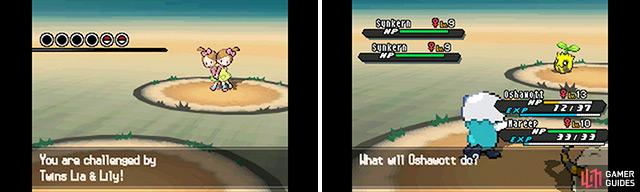 If you spot two trainers side by side, chances are its a double battle waiting to happen. You can also encounter wild double battles in the dark grass.