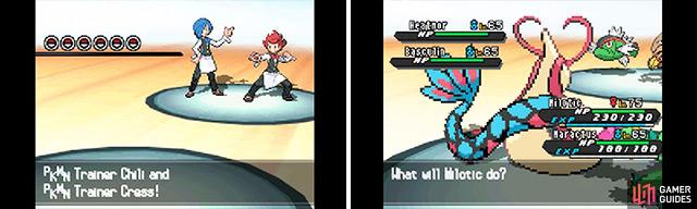 You can team up with one of the Gym Leaders against the other two every day.