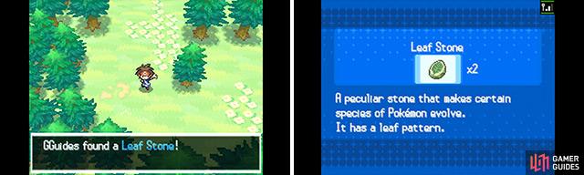 The Leaf Stone evolves certain Grass-type Pokemon. If unsure, call Professor Juniper on the Xtransceiver for advice.