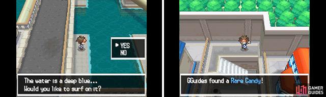 After surfing across the water, head moving under the bridges until you reach the Rare Candy (right).