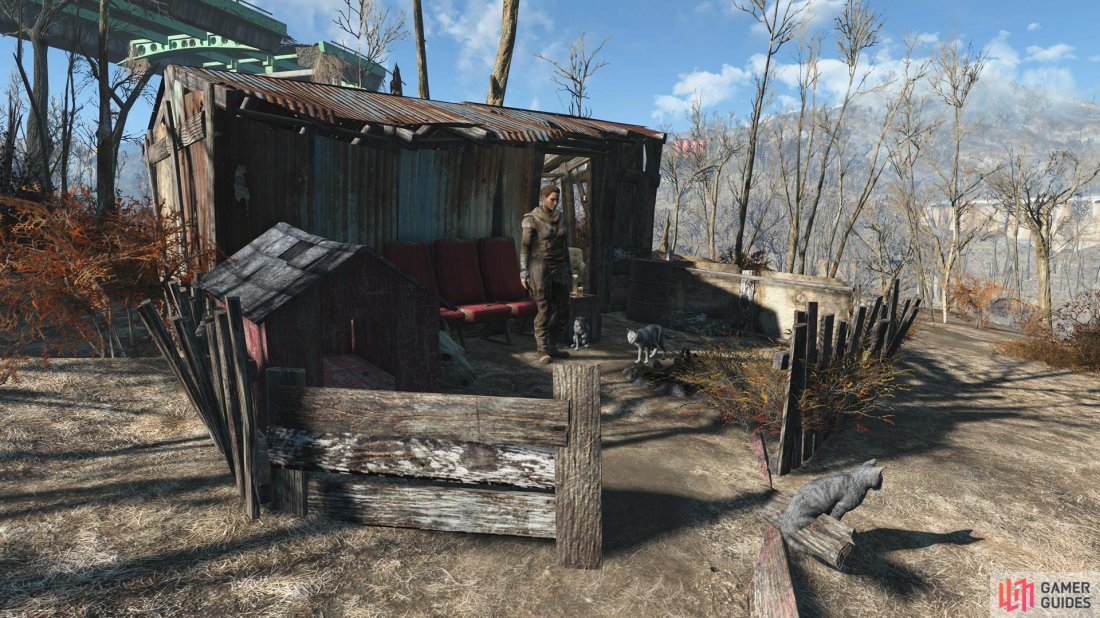 You can find a trader and her cats living in a shack near Walden Pond.