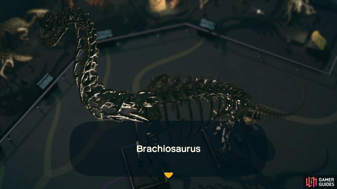 The Brachiosaurus is made up of several parts.