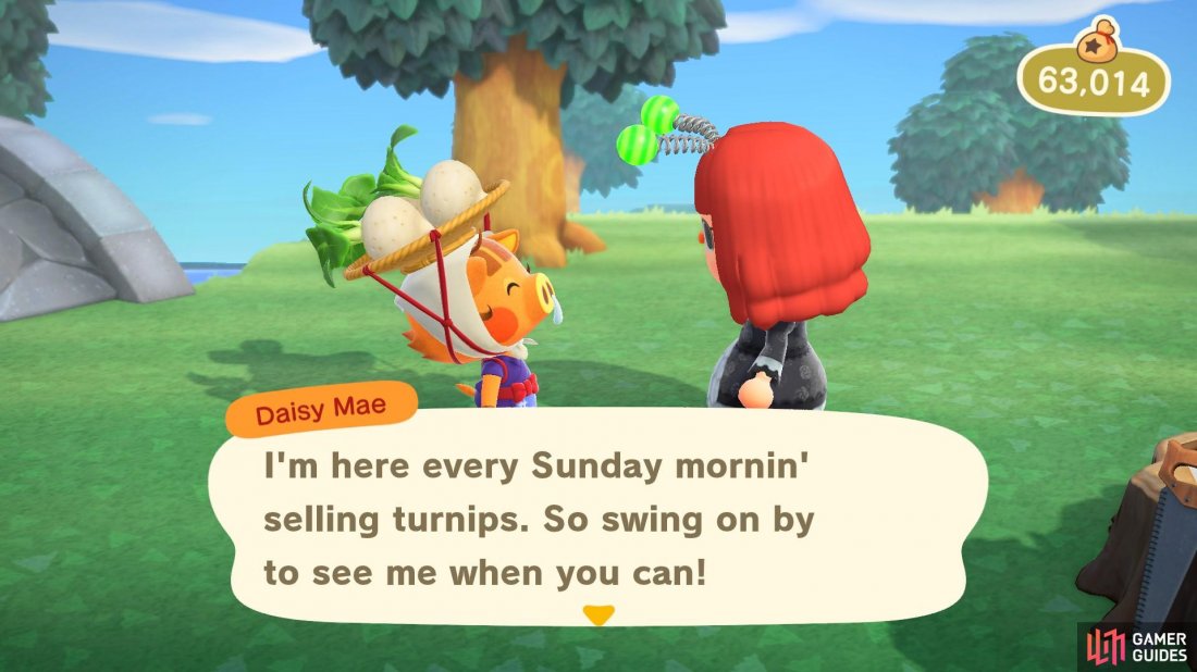 Daisy Mae will sell turnips on your island every sunday morning.