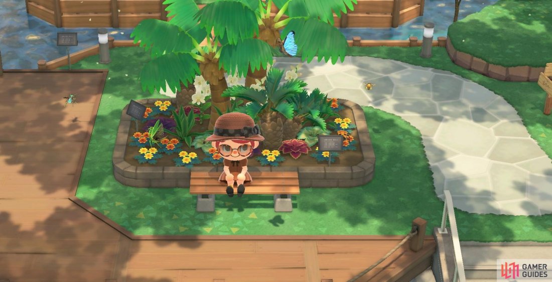Don’t forget to donate your newly found bugs to Blathers’ museum.