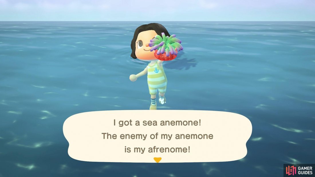 The Sea Anemone is a stationary sea creature, so its easy to catch!