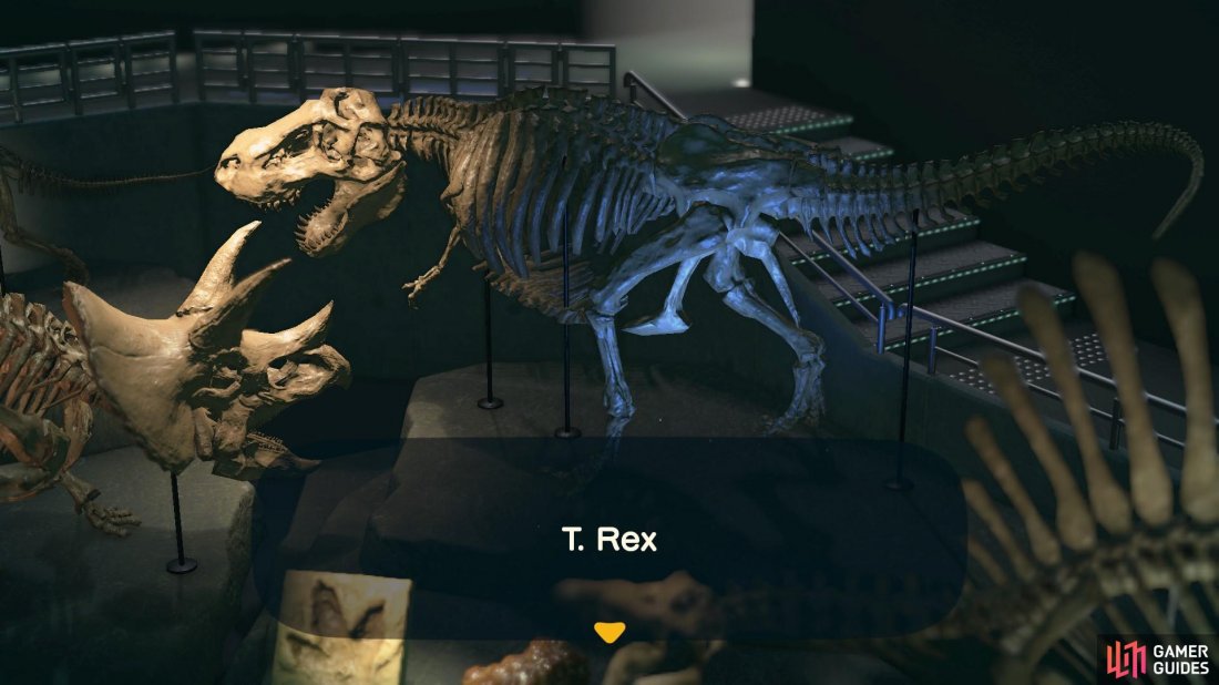 The Tyrannosaurus Rex is one of the most well known dinosaurs in the world.