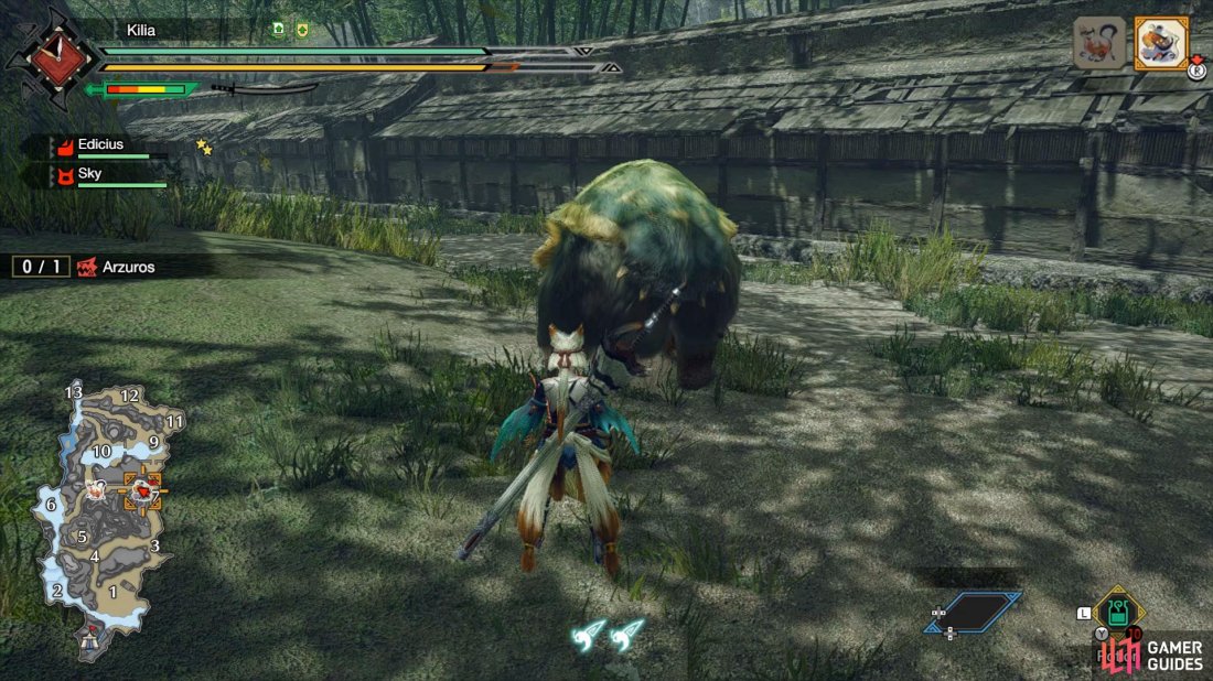 Arzuros will attempt to ram you when you’re behind or to the side of him.
