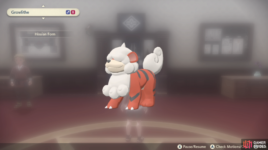 Looking very much like the Growlithe we know and love, but with some differences.