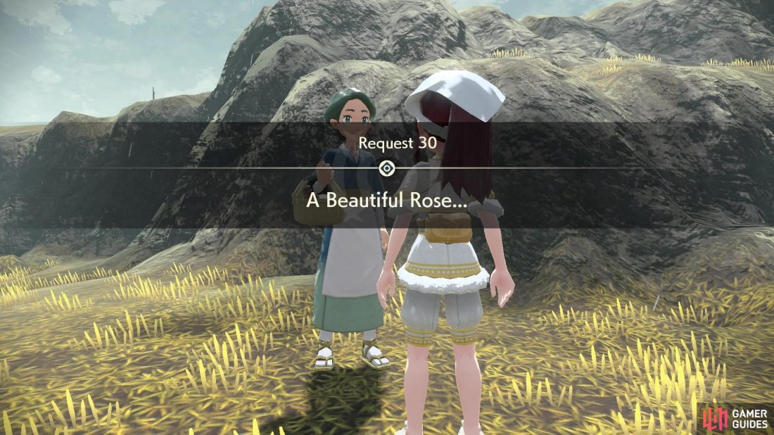 Request 30: A Beatiful Rose…