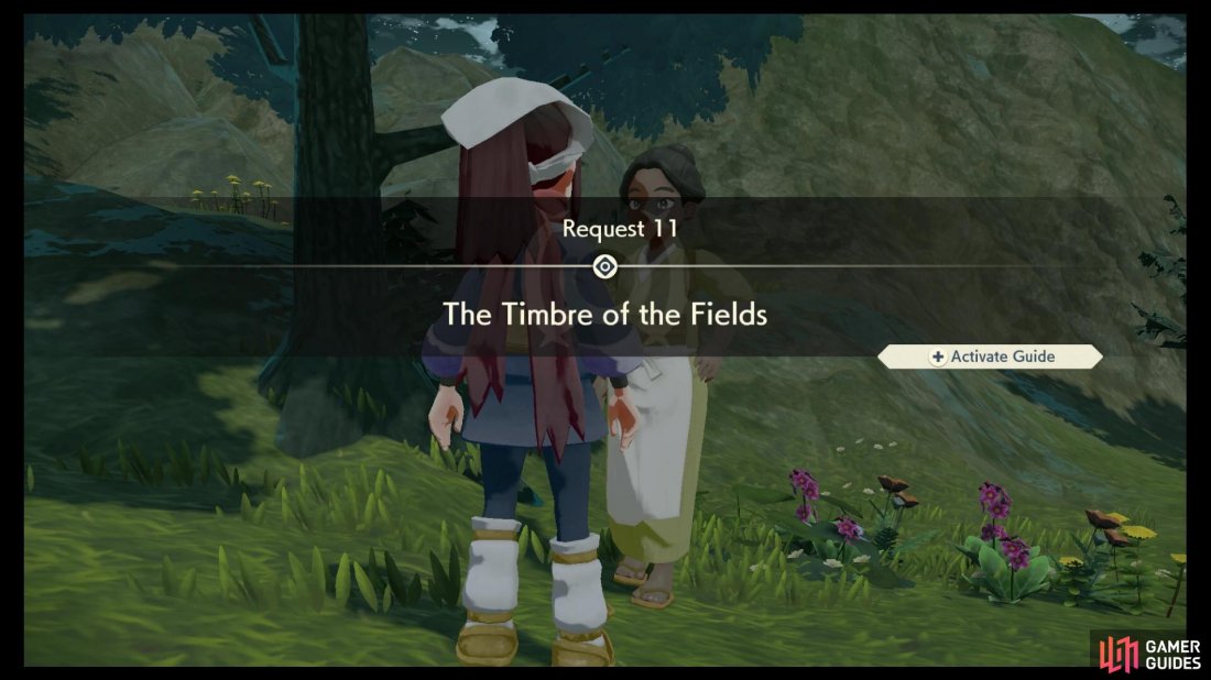 Request 11: The Timbre of the Fields.