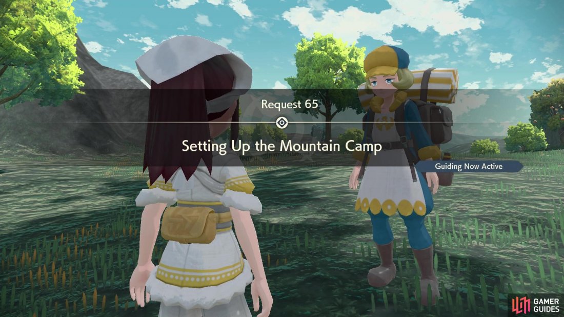 Request 65: Setting Up the Mountain Camp.